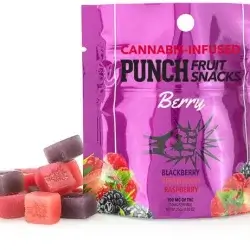 punch fruit snack