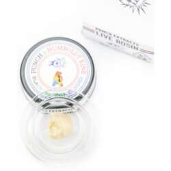 Black Licorice Tier 1 Live Rosin Cold Cure Badder